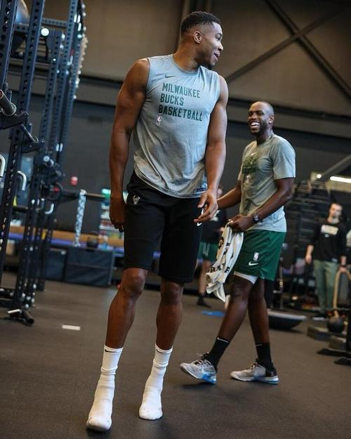 官方：意大利将于亚特兰大主场对阵北爱尔兰，此前在此无败绩（官宣：意大利坐镇亚特兰大主场迎战北爱尔兰，过往在此未尝败绩）