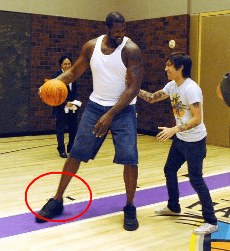 从2002年韩日世界杯开始喜欢上足球，当时政治老...（爱上足球始于2002韩日世界杯，那时政治老...）